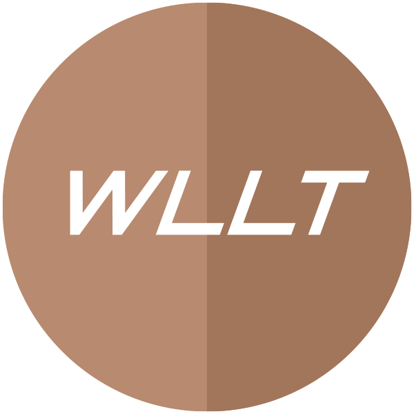 Dandi WLLT